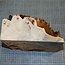 Pappel Maser, ca. 210 x 210 x 50-150mm, 2,0kg