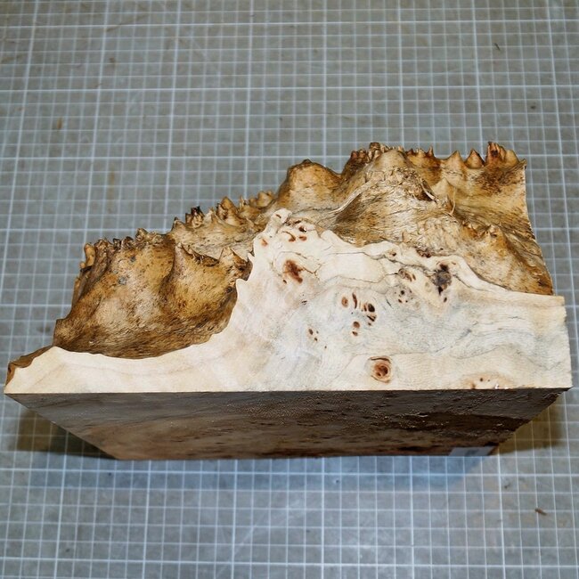Pappel Maser, ca. 210 x 210 x 50-150mm, 2,0kg