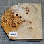 Pappel Maser, ca. 185 x 200 x 10-60mm, 0,7kg