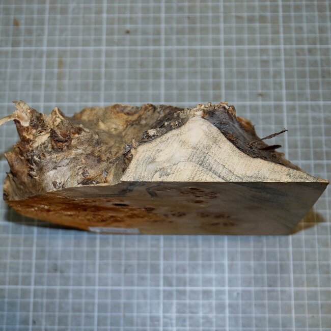 Pappel Maser, ca. 185 x 200 x 10-60mm, 0,7kg