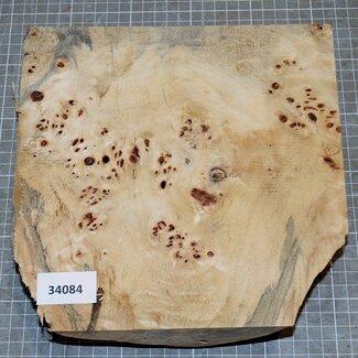 Pappel Maser, ca. 225 x 225 x 10-65mm, 1,1kg