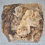 Pappel Maser, ca. 225 x 225 x 10-65mm, 1,1kg