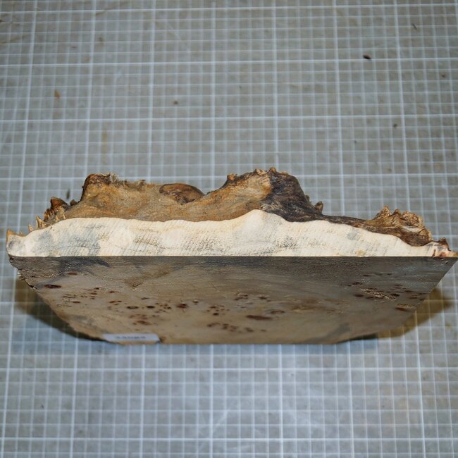 Pappel Maser, ca. 225 x 225 x 10-65mm, 1,1kg