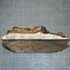 Pappel Maser, ca. 225 x 225 x 10-65mm, 1,1kg