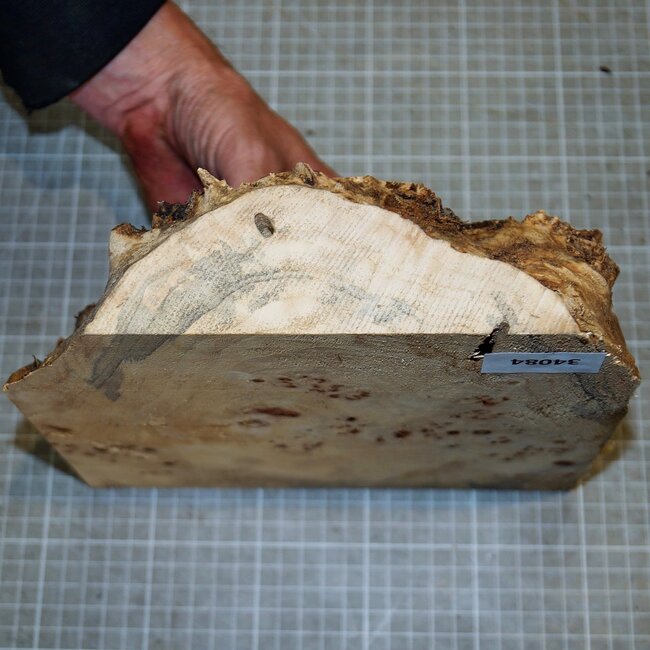 Pappel Maser, ca. 225 x 225 x 10-65mm, 1,1kg