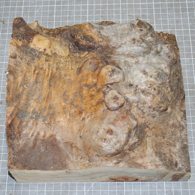 Pappel Maser, ca. 215 x 205 x 35-100mm, 1,4kg