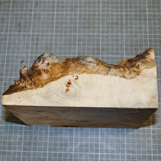 Pappel Maser, ca. 215 x 205 x 35-100mm, 1,4kg