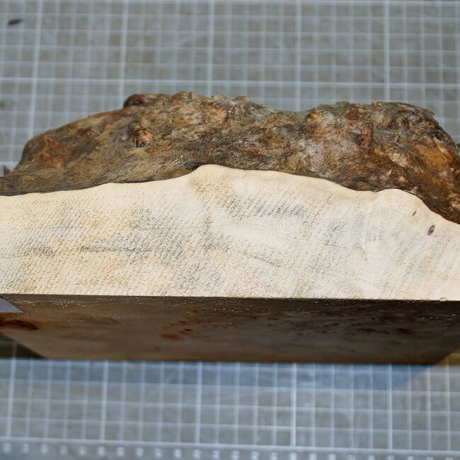 Pappel Maser, ca. 215 x 205 x 35-100mm, 1,4kg