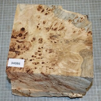 Pappel Maser, ca. 200 x 210 x 10-160mm, 2,1kg