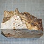 Pappel Maser, ca. 200 x 210 x 10-160mm, 2,1kg