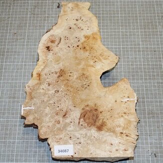 Pappel Maser, ca. 225 x 400 x 10-60mm, 1,3kg