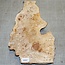 Pappel Maser, ca. 225 x 400 x 10-60mm, 1,3kg