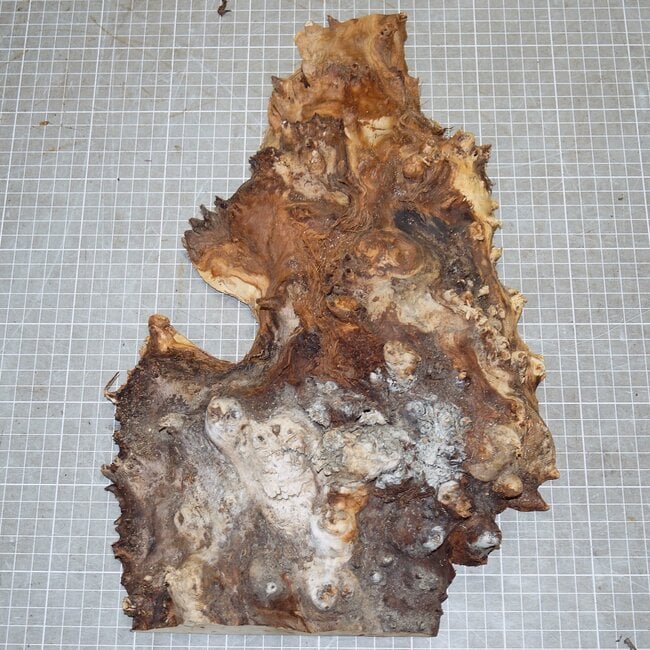 Pappel Maser, ca. 225 x 400 x 10-60mm, 1,3kg
