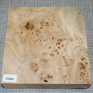 Pappel Maser, ca. 245 x 250 x 10-65mm, 1,3kg