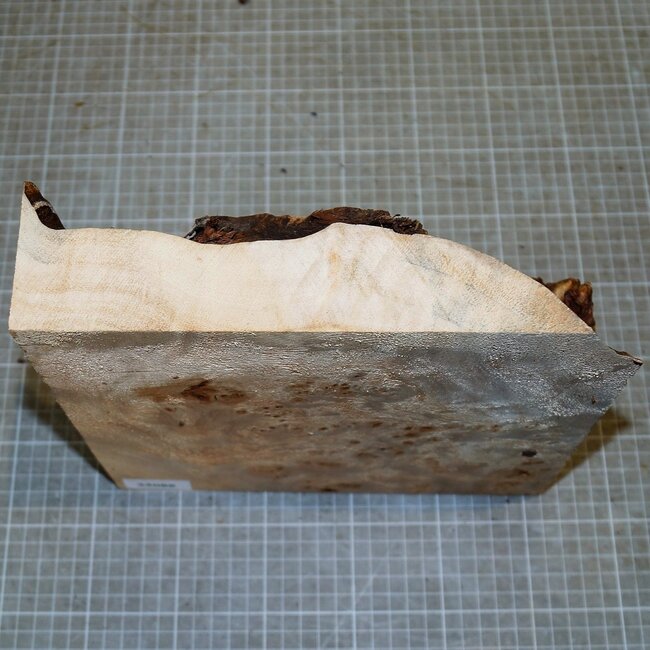 Pappel Maser, ca. 245 x 250 x 10-65mm, 1,3kg