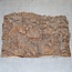 Pappel Maser, ca. 365 x 245 x 10-40mm, 2,5kg