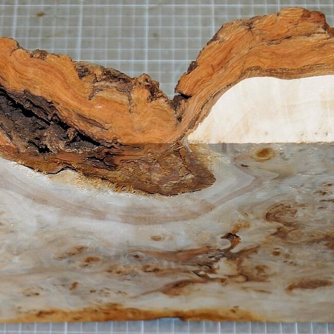 Pappel Maser, ca. 365 x 245 x 10-40mm, 2,5kg