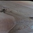 Europ. Walnut, approx. 1400 x 480/460/300 x 50 mm, 13804