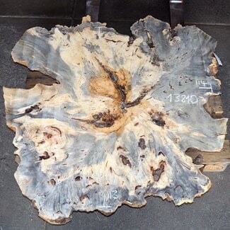 Buckeye Maser Baumscheibe, ca. 1140 x 1130 x 130 mm, 13810