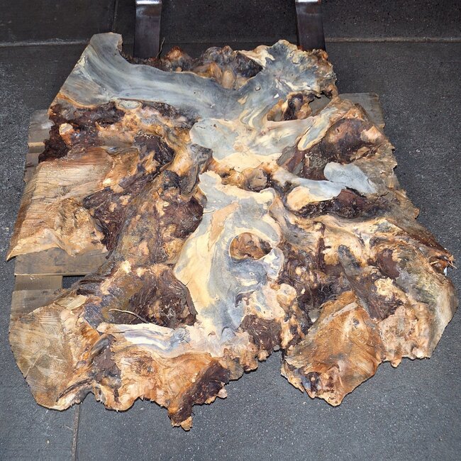 Buckeye Burl Slab, approx. 1140 x 1130 x 130 mm, 13810