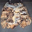Buckeye Maser Baumscheibe, ca. 1140 x 1130 x 130 mm, 13810