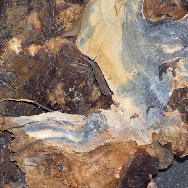 Buckeye Maser Baumscheibe, ca. 1140 x 1130 x 130 mm, 13810