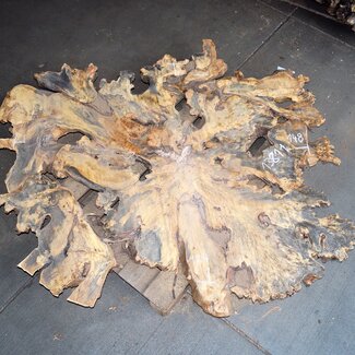 Buckeye Burl Slab, approx. 1480 x 1240 x 72 mm, 13811
