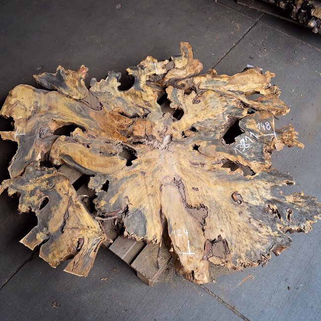 Buckeye Burl Slab, approx. 1480 x 1240 x 72 mm, 13811