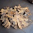 Buckeye Maser Baumscheibe, ca. 1480 x 1240 x 72 mm, 13811