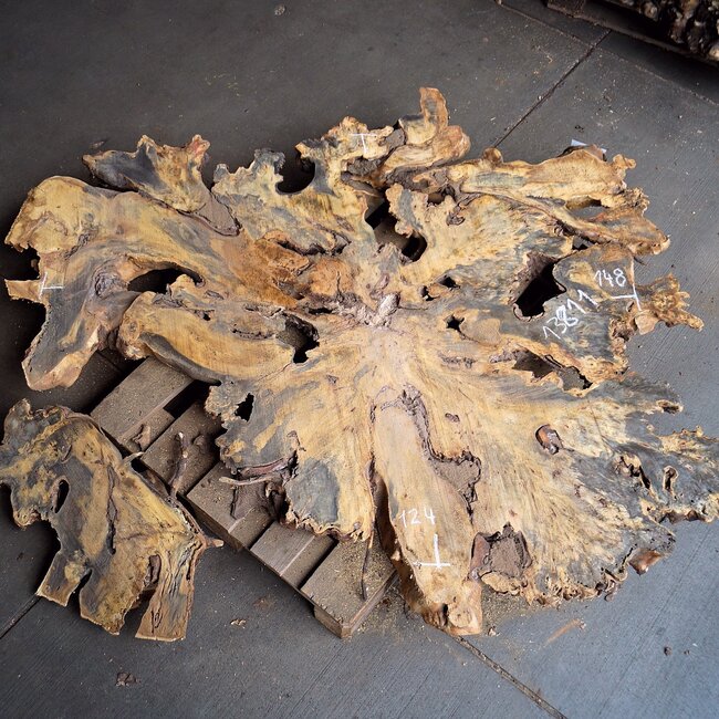 Buckeye Maser Baumscheibe, ca. 1480 x 1240 x 72 mm, 13811