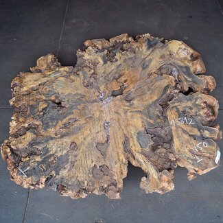 Buckeye Burl Slab, approx. 1850 x 1500 x 70-100 mm, 13812