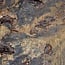 Buckeye Maser Baumscheibe, ca. 1850 x 1500 x 70-100 mm, 13812