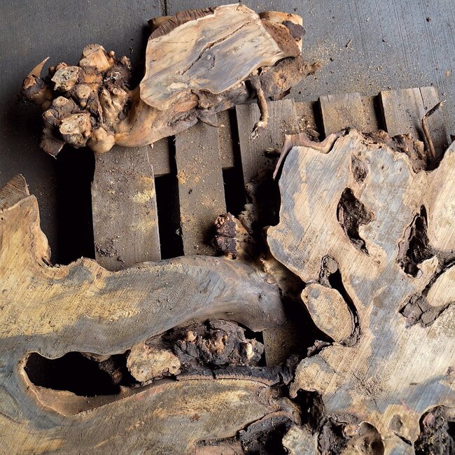 Buckeye Maser Baumscheibe, ca. 1480 x 1240 x 72 mm, 13811