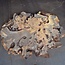 Buckeye Maser Baumscheibe, ca. 1500 x 1100 x 70 mm, 13813
