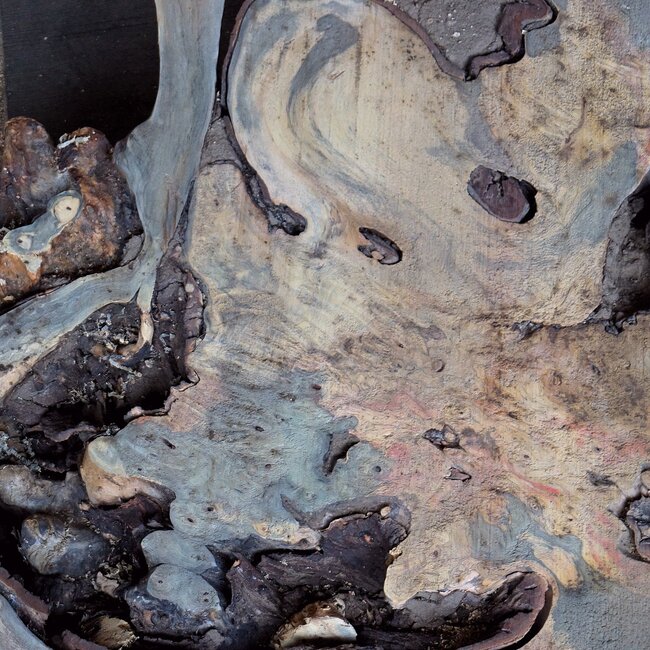 Buckeye Maser Baumscheibe, ca. 1500 x 1100 x 70 mm, 13813