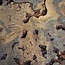 Buckeye Maser Baumscheibe, ca. 1500 x 1100 x 70 mm, 13813