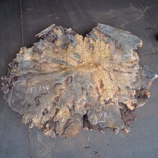 Buckeye Burl Slab, approx. 1400 x 1180 x 85-90 mm, 13814