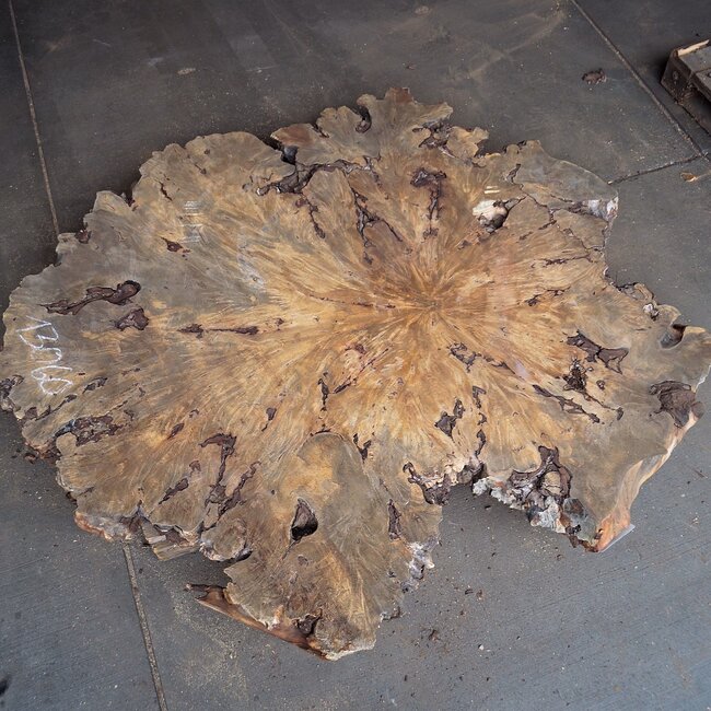 Buckeye Maser Baumscheibe, ca. 1400 x 1180 x 85-90 mm, 13814