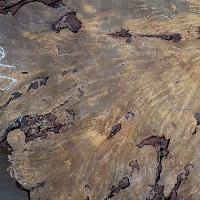 Buckeye Maser Baumscheibe, ca. 1400 x 1180 x 85-90 mm, 13814