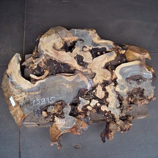 Buckeye Burl Slab, approx. 1450 x 1120 x 75 mm, 13815