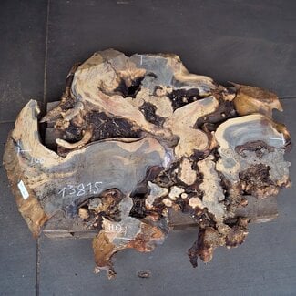 Buckeye Maser Baumscheibe, ca. 1450 x 1120 x 75 mm, 13815