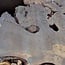Buckeye Maser Baumscheibe, ca. 1450 x 1120 x 75 mm, 13815