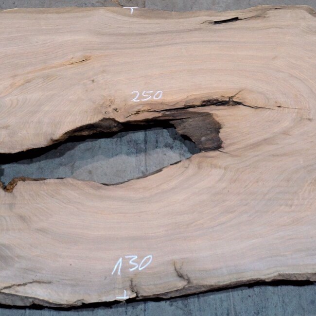 Kaukasischer Nussbaum, Tischplatte, ca. 2500 x 1300 x 50 mm, 13816