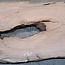 Kaukasischer Nussbaum, Tischplatte, ca. 2500 x 1300 x 50 mm, 13816