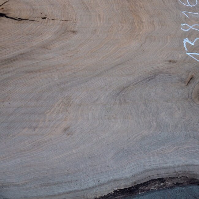 Kaukasischer Nussbaum, Tischplatte, ca. 2500 x 1300 x 50 mm, 13816