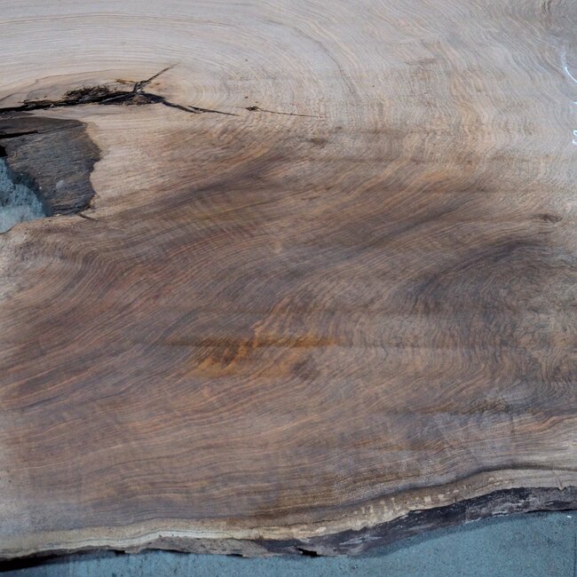 Kaukasischer Nussbaum, Tischplatte, ca. 2500 x 1300 x 50 mm, 13816