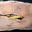 Kaukasischer Nussbaum, Tischplatte, ca. 2500 x 1300 x 50 mm, 13816