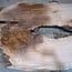 Kaukasischer Nussbaum, Tischplatte, ca. 2700 x 1210 x 35-50 mm, 13817