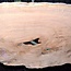 Kaukasischer Nussbaum, Tischplatte, ca. 2000 x 1040 x 45 mm, 13818