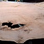 Kaukasischer Nussbaum, Tischplatte, ca. 2100 x 1250 x 45 mm, 13819